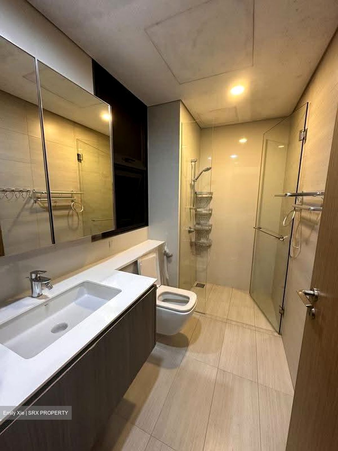 Lakeville (D22), Condominium #618675551